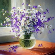 Аватара пользователя