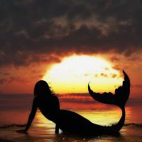 Аватара пользователя