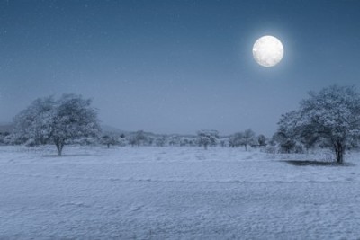 Luna39.jpg